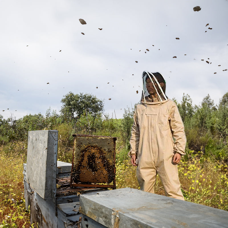 1 Set of Professional Ventilated Full - Body Beekeeping Suit with Gloves