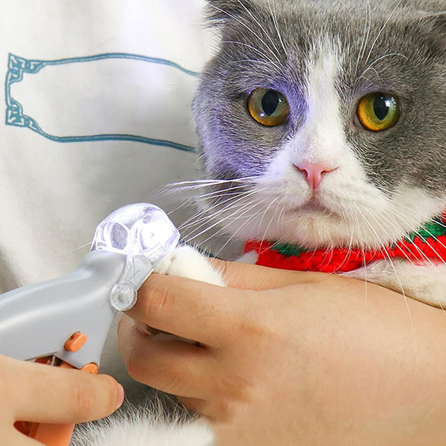 Professional Cat & Dog Trimmer Professional LED - lit pet nail clippers for cats and dogs. Toe - claw cutting tool, pet supplies.